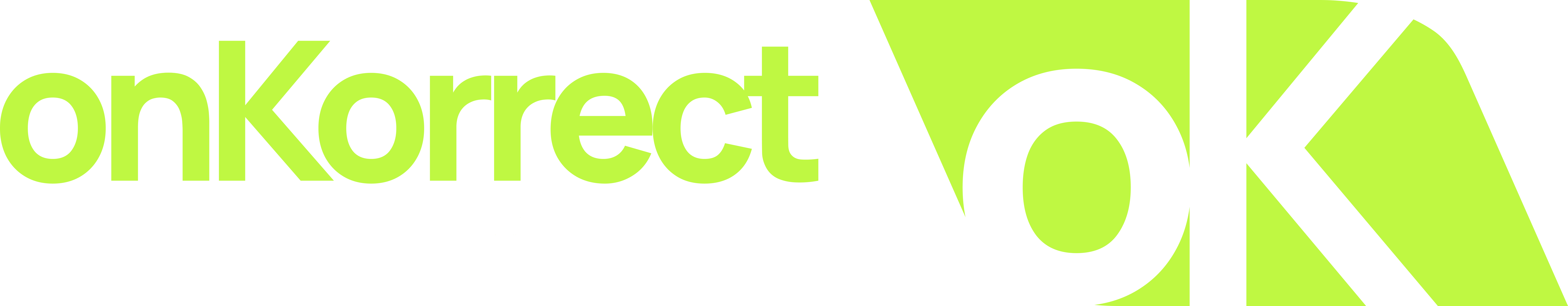 onKorrect Logo